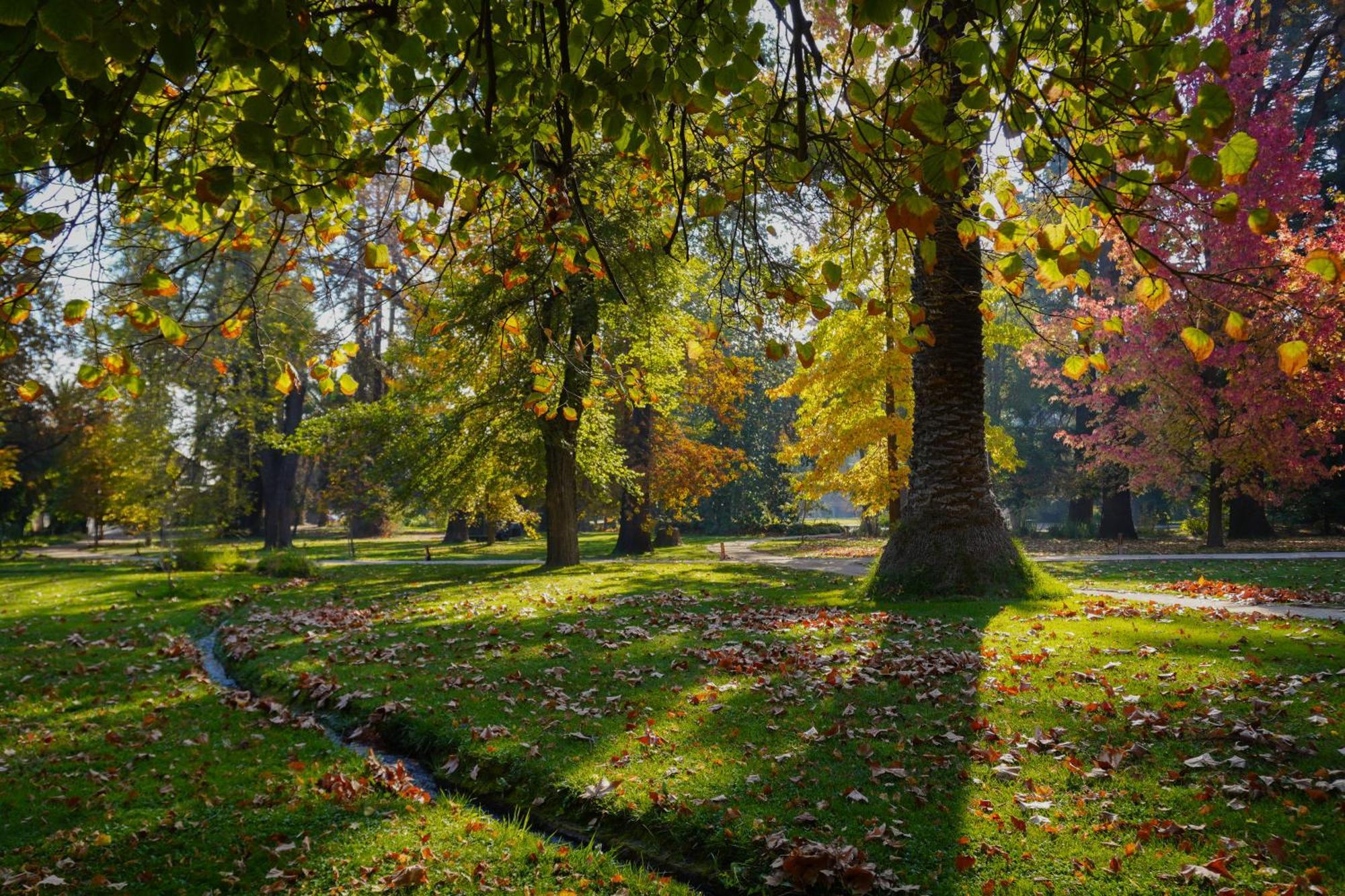 Las Majadas Hotel & Centro De Reuniones Pirque Zewnętrze zdjęcie